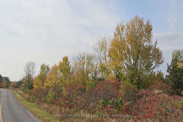 3843 County Road 8, Prince Edward County, Ontario, North Marysburgh