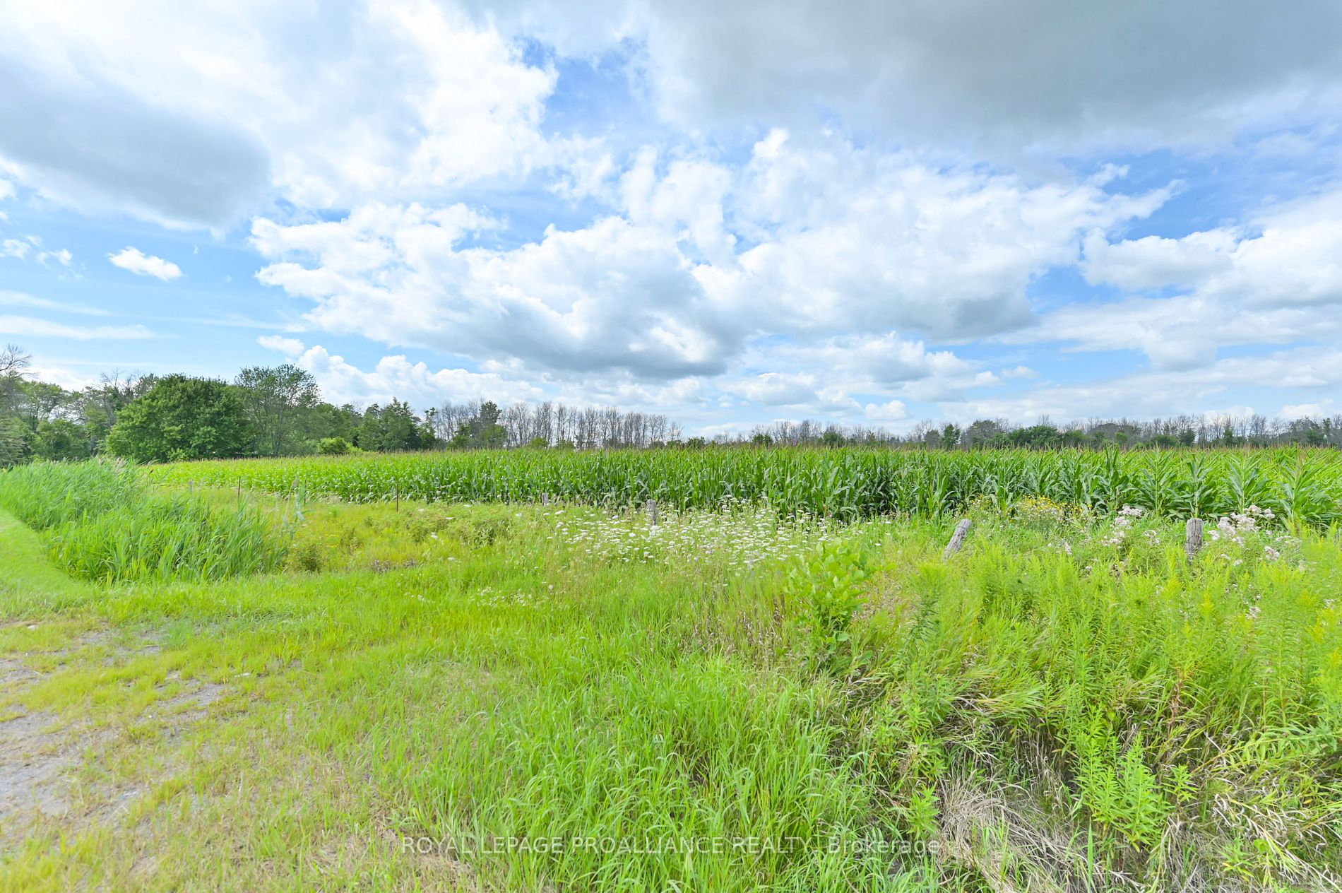 0 Hamilton Rd, Quinte West, Ontario, 