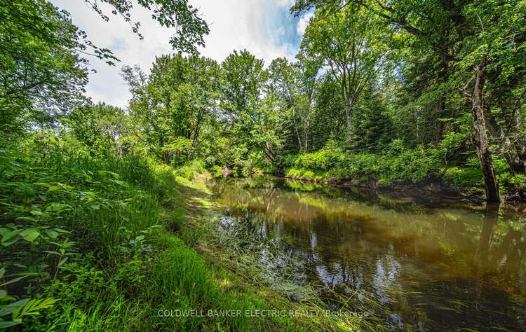 76 Jack White Rd, North Kawartha, Ontario, Rural North Kawartha