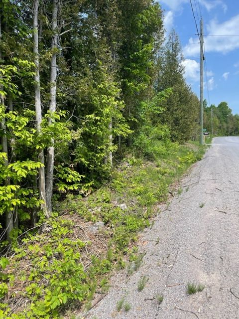 0 North School Rd, Havelock-Belmont-Methuen, Ontario, Rural Havelock-Belmont-Methuen