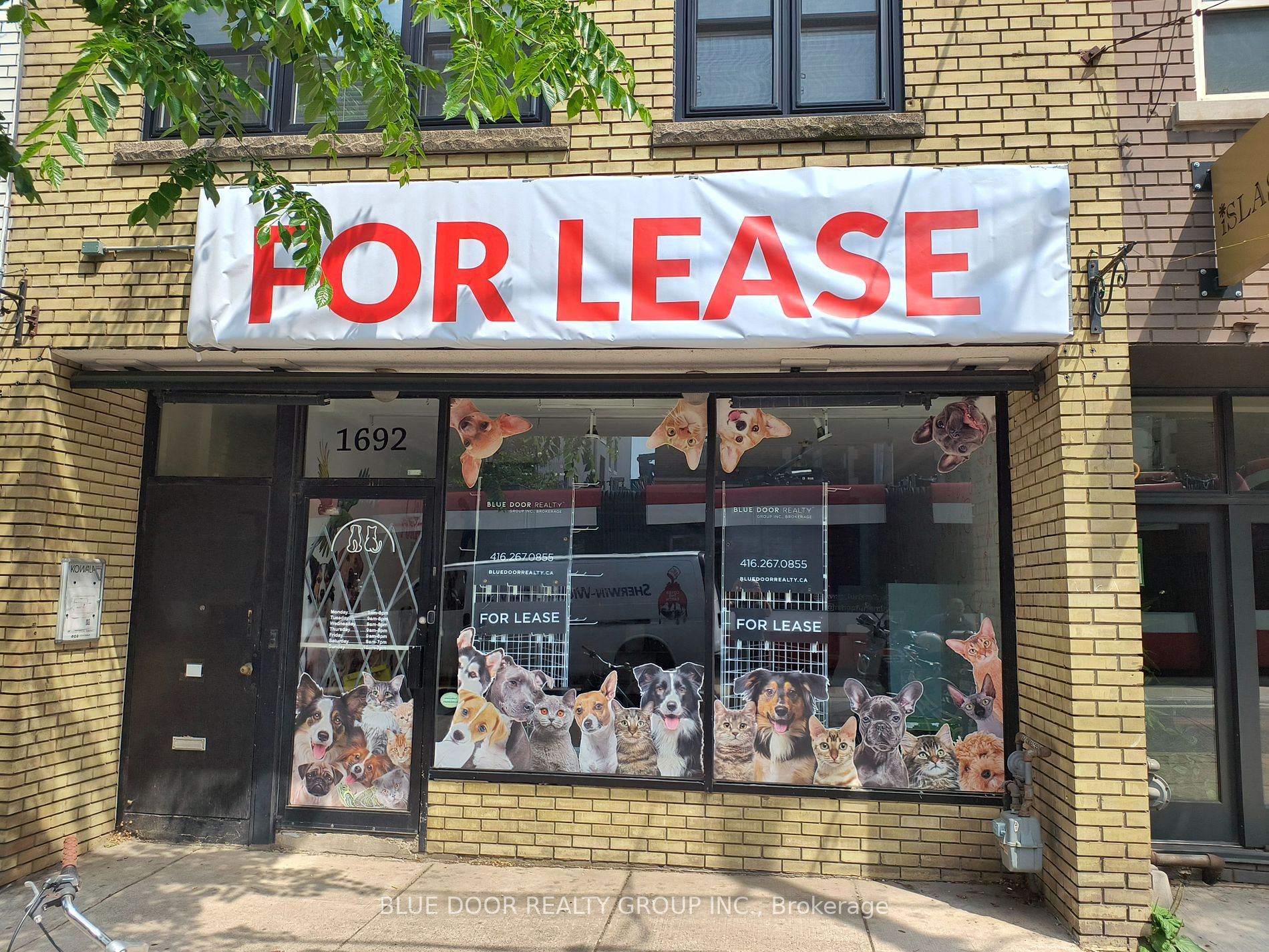 1692 Queen St W, Toronto, Ontario, Roncesvalles