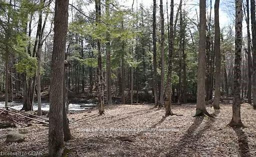 LOT 4 FUTURE Lane, Stirling-Rawdon, Ontario, 