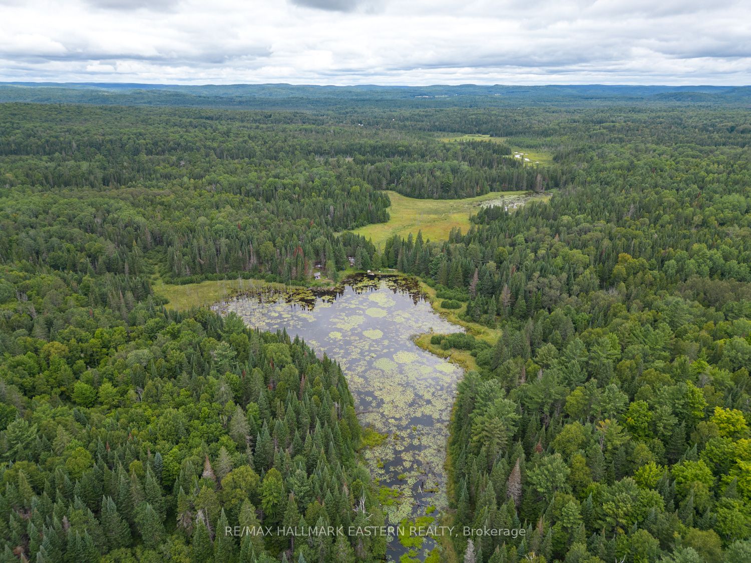 601 Old Detlor Rd, Bancroft, Ontario, 