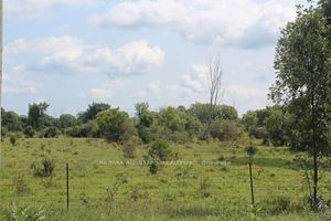 1 Talbot Rd, Kawartha Lakes, Ontario, Rural Carden