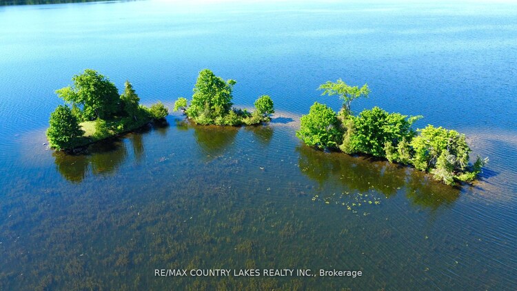 Lt 1 Island, Kawartha Lakes, Ontario, Rural Carden