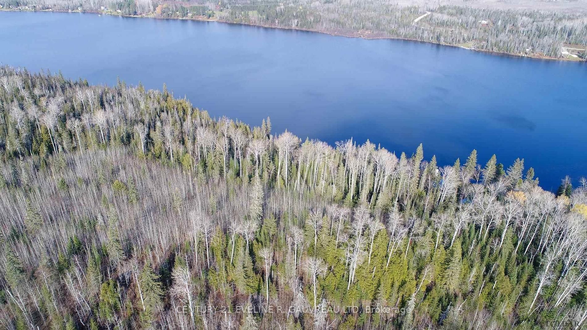 Lot 11 Con 4, Long Lake, Englehart, Ontario, 