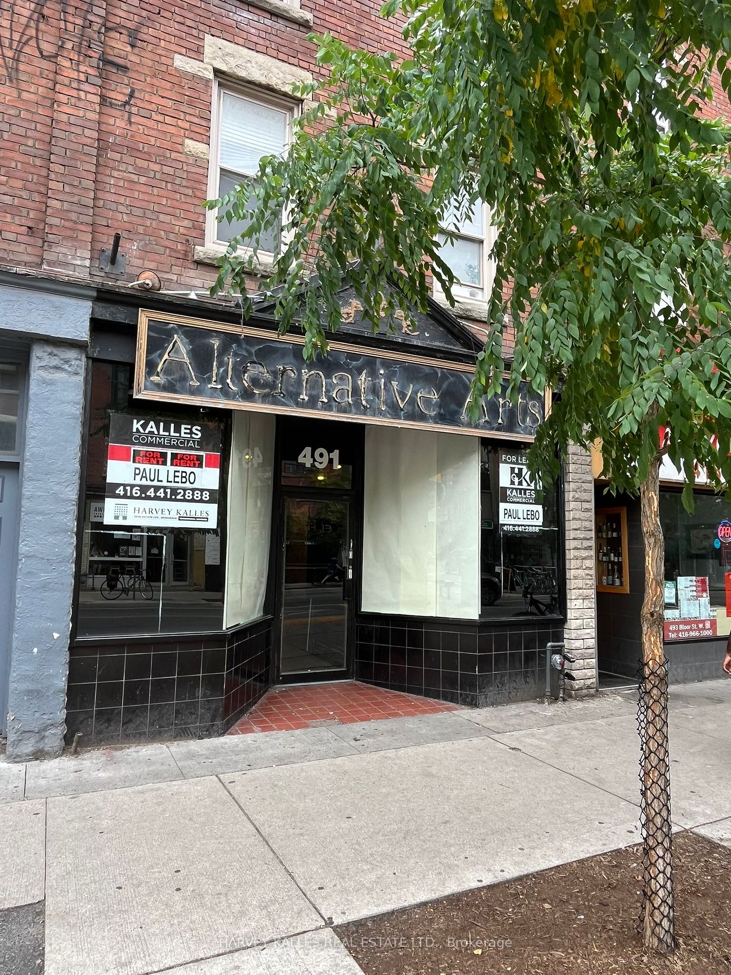 491 Bloor St W, Toronto, Ontario, University