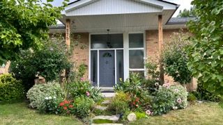 372 Fernleigh Circ, Richmond Hill, Ontario, Crosby