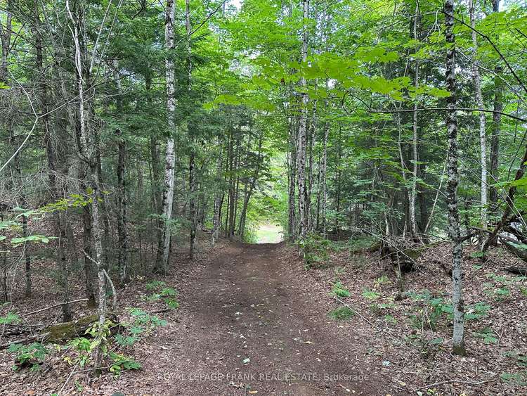 PT LT28 Loom Lake Rd, Galway-Cavendish and Harvey, Ontario, Rural Galway-Cavendish and Harvey