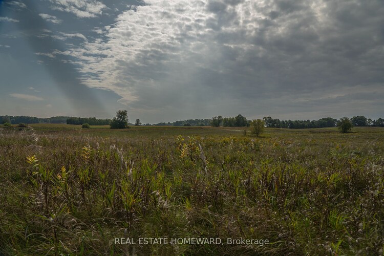 1430 COUNTY RD 50  S, Adjala-Tosorontio, Ontario, Rural Adjala-Tosorontio