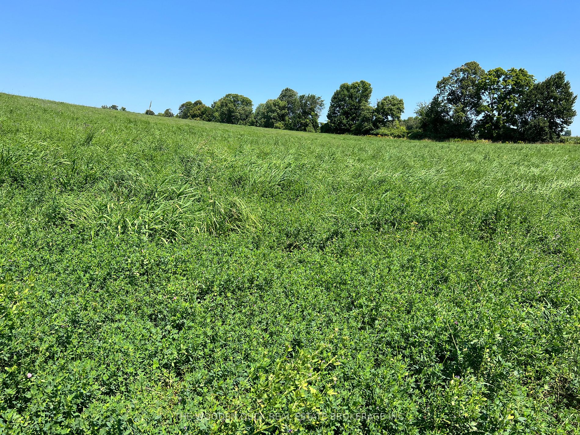 0 Webster Rd, Douro-Dummer, Ontario, Rural Douro-Dummer