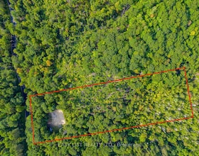 1651 North Portage Road, Muskoka, ON , MLS #X9367874 , Image - 1