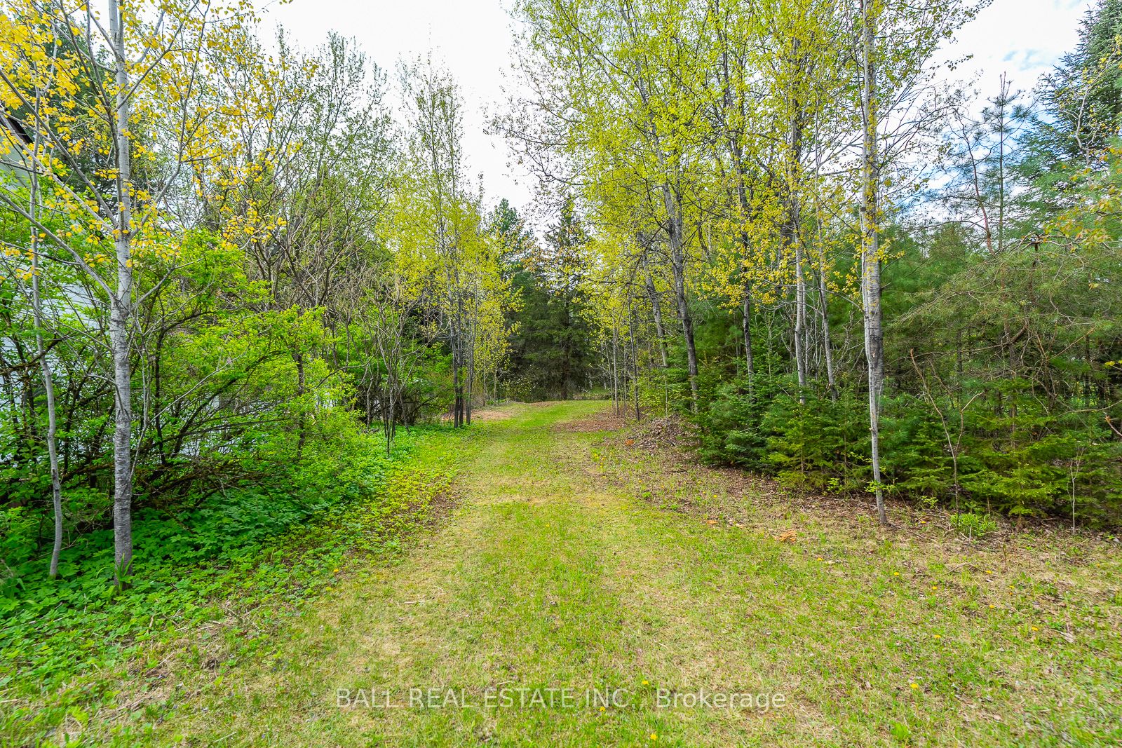 0 The Avenue, Kawartha Lakes, Ontario, Kinmount