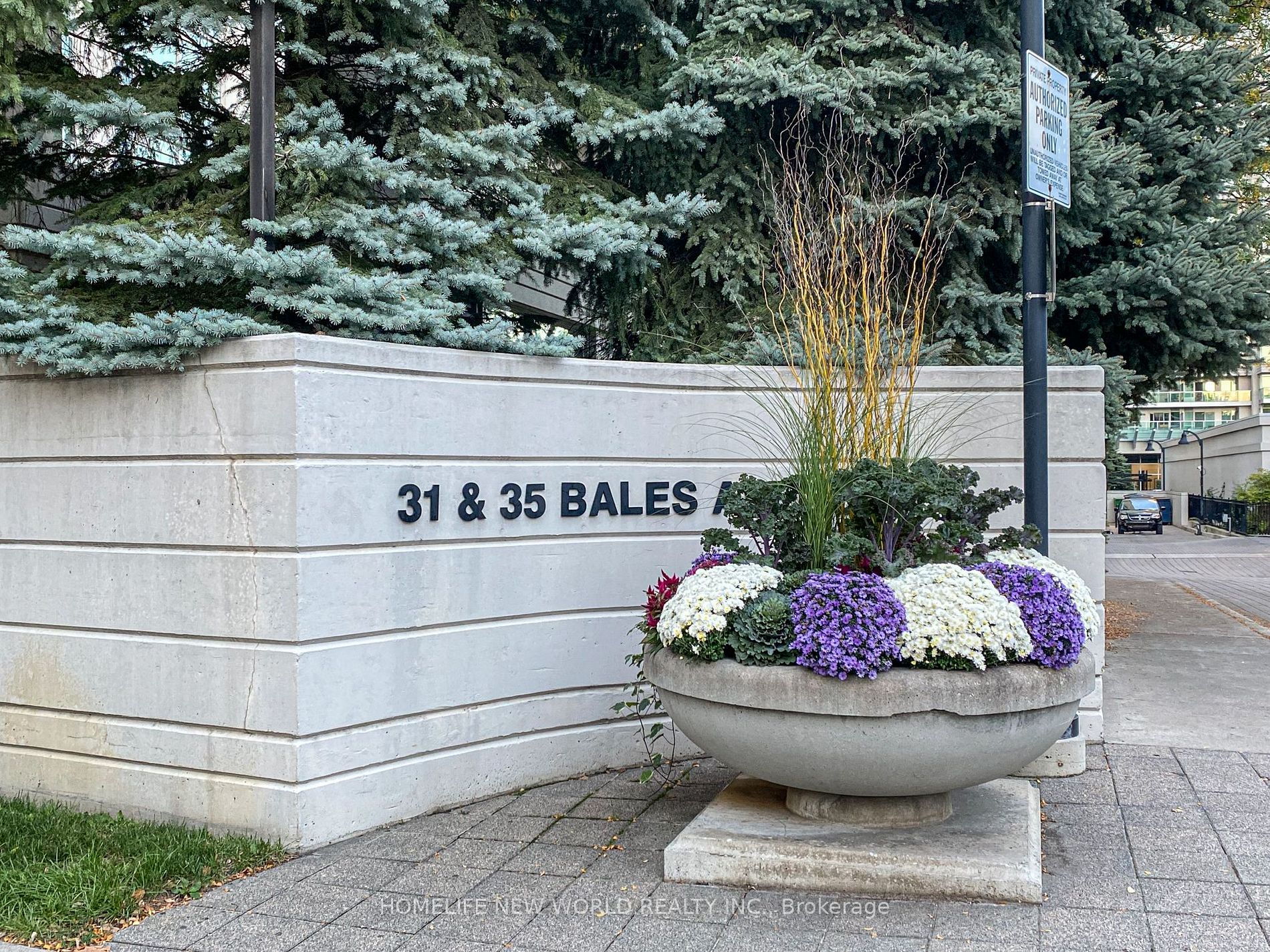 31 Bales Ave, Toronto, Ontario, Willowdale East