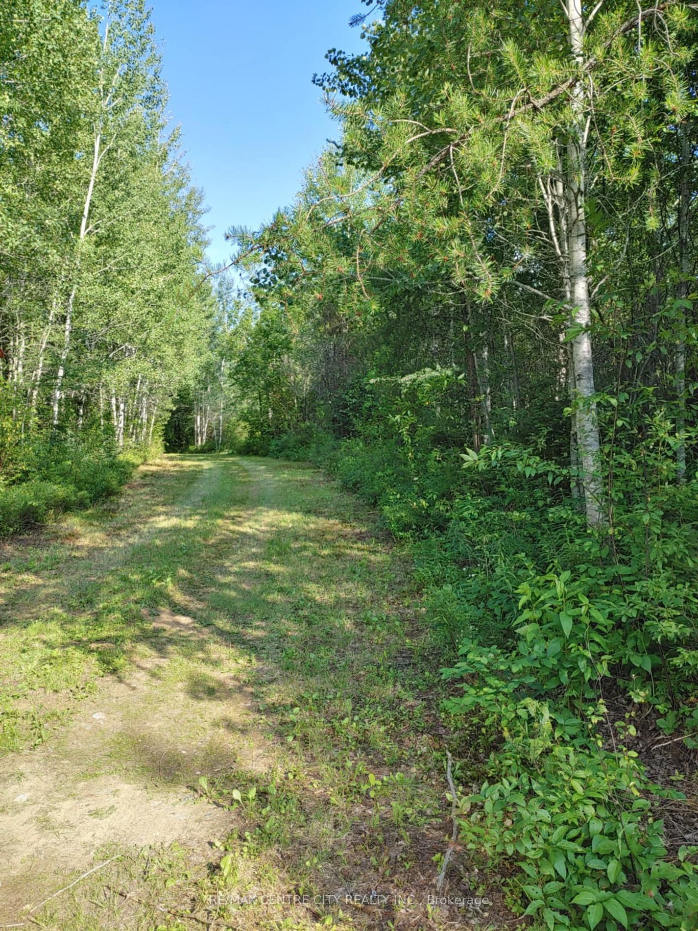 LOT 5 CON 1 Rd, Timiskaming Remote Area, Ontario, 