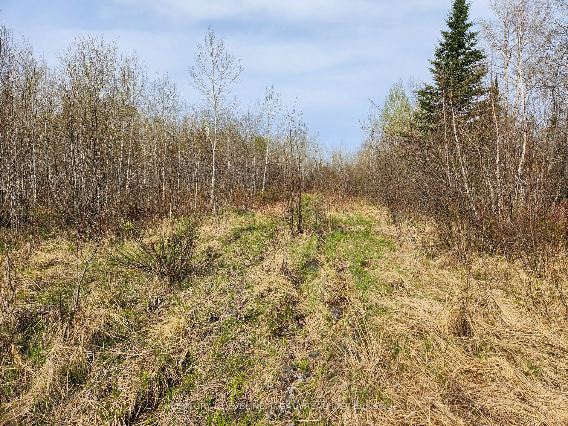 N1/2 LT 9 Con 1, Timiskaming Remote Area, Ontario, 