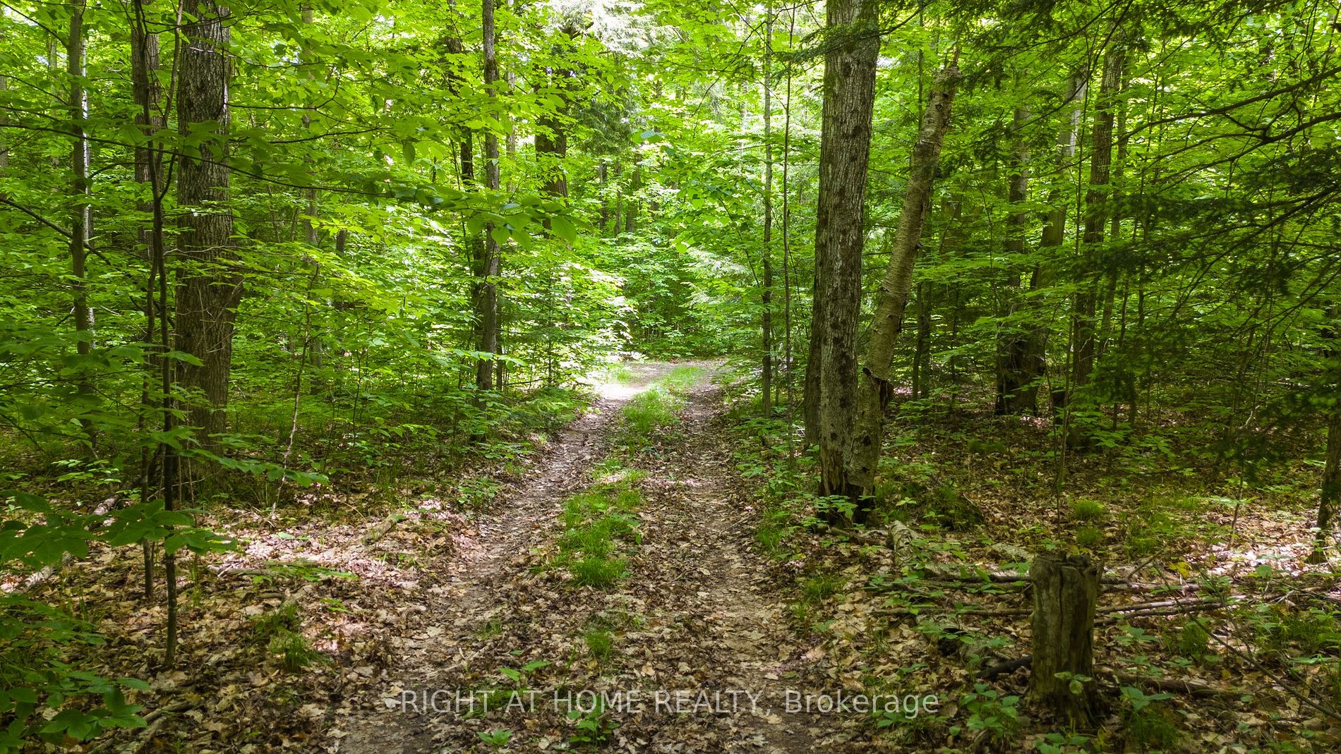 4145 6 Line N, Oro-Medonte, Ontario, Rural Oro-Medonte