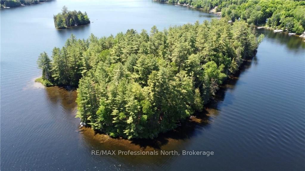 Lot 34 Bucktooth Island, Perry, Ontario, 