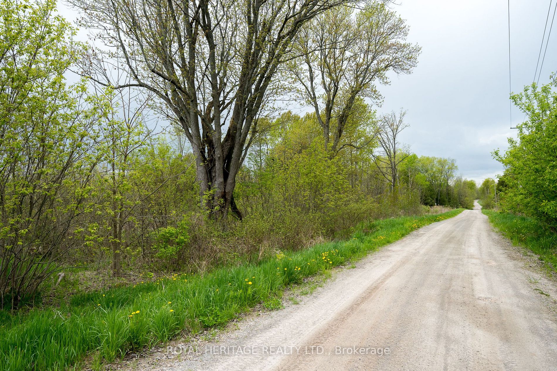 PLOT 14 Acreman Rd, Centre Hastings, Ontario, 