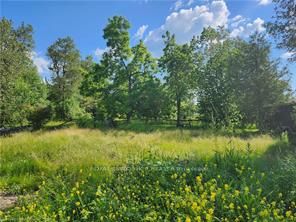 Lot 17 Gold St, Grey County, Ontario