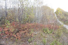 Lot 1A CAMPBELLS Road, Timiskaming, ON , MLS #T9390168 , Image - 1