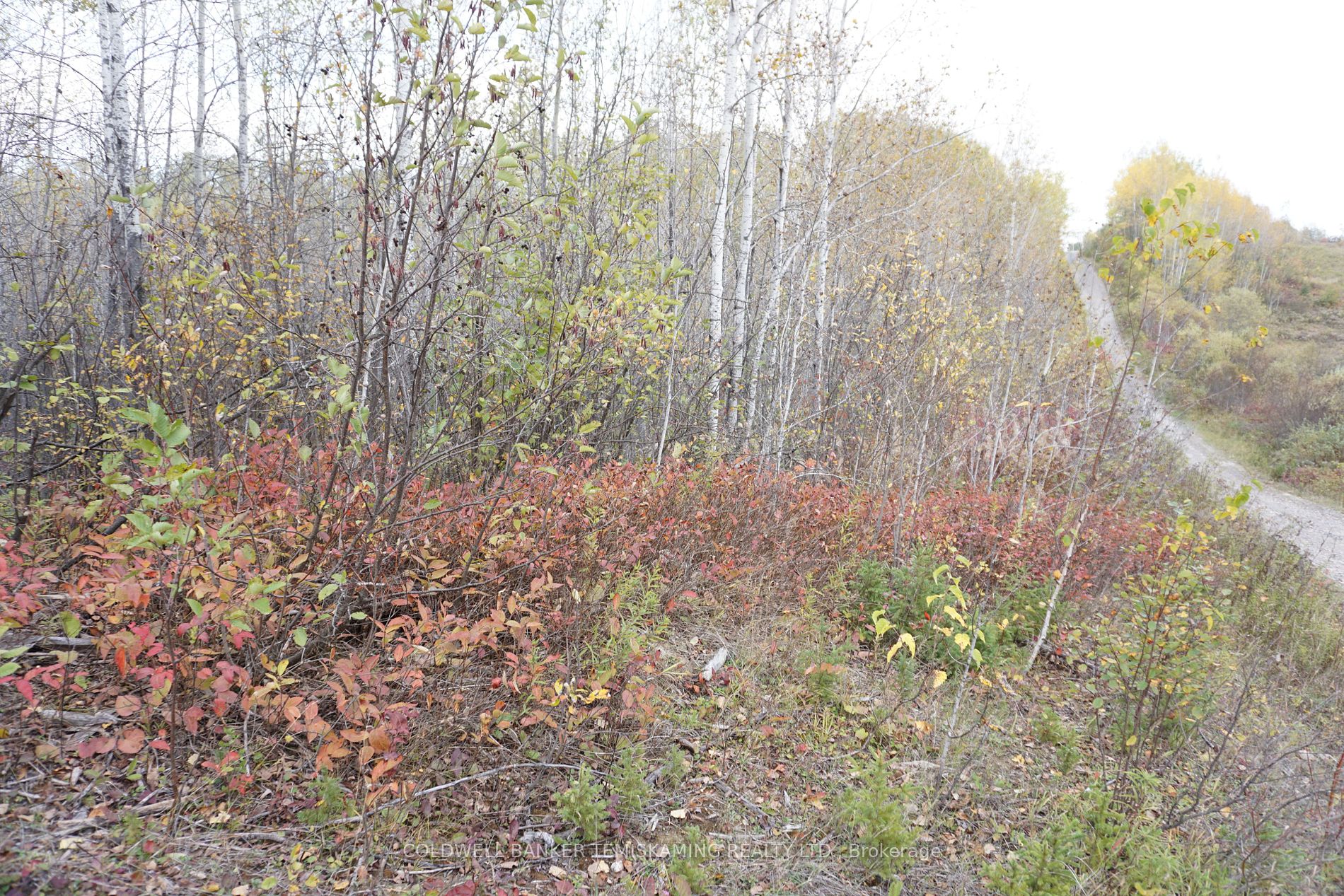 Lot 1A CAMPBELLS Rd, Timiskaming Remote Area, Ontario, 