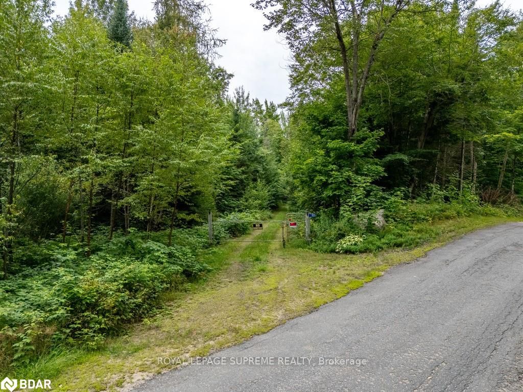 153 Mainhood Rd, Huntsville, Ontario, 