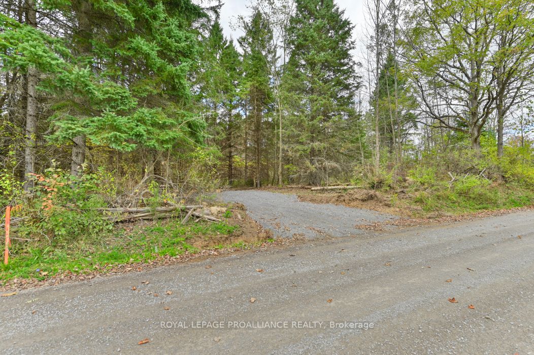 0 Otter Creek Rd, Tweed, Ontario, 