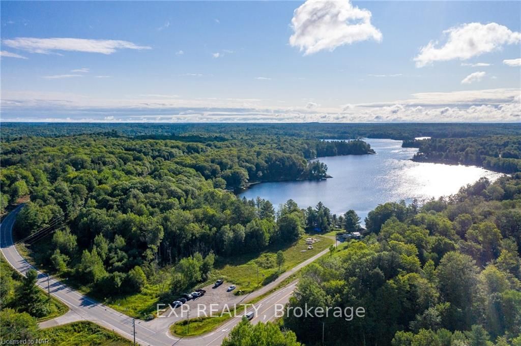 1010 BRACKENRIG Rd, Muskoka Lakes, Ontario, 