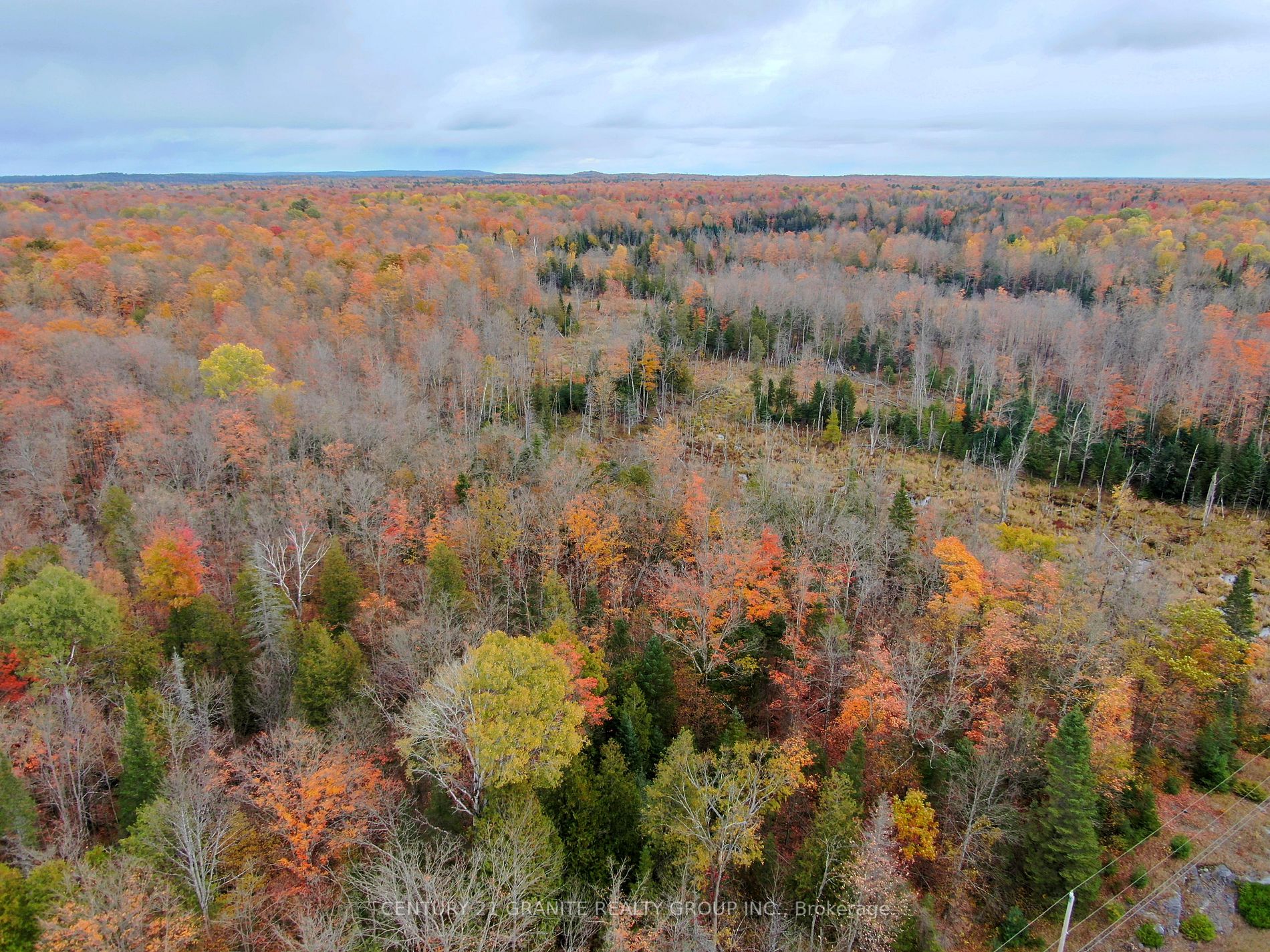 Lt13-14 Highway 62  S, Tudor & Cashel, Ontario, 