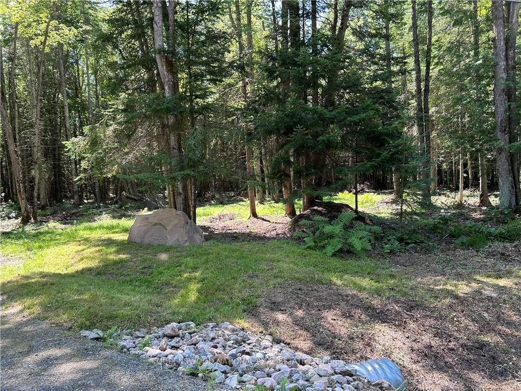 63 ANNIE MAYHEW Rd, Madawaska Valley, Ontario, 570 - Madawaska Valley