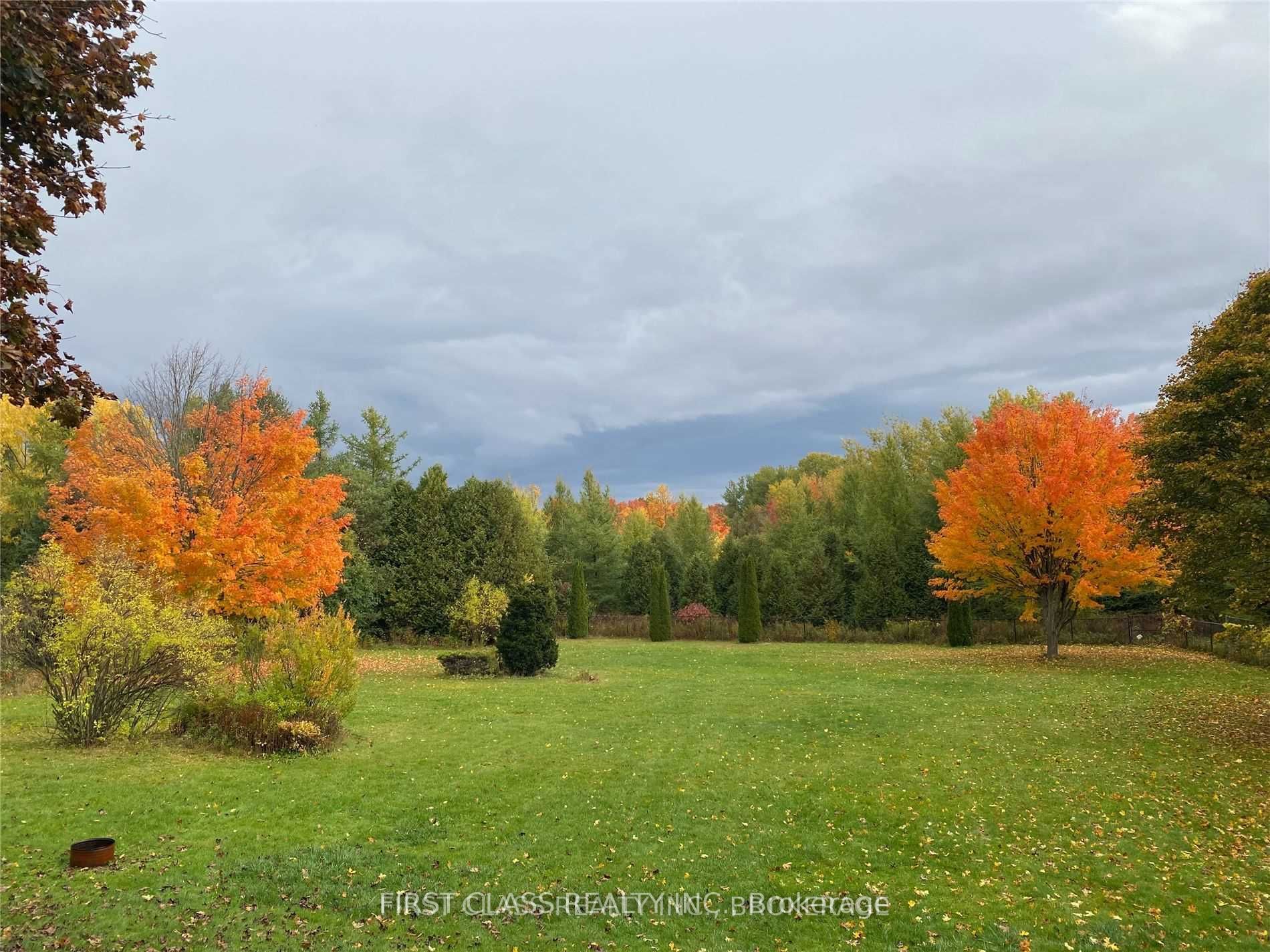 11 Birch Haven Crt, Caledon, Ontario, Caledon Village