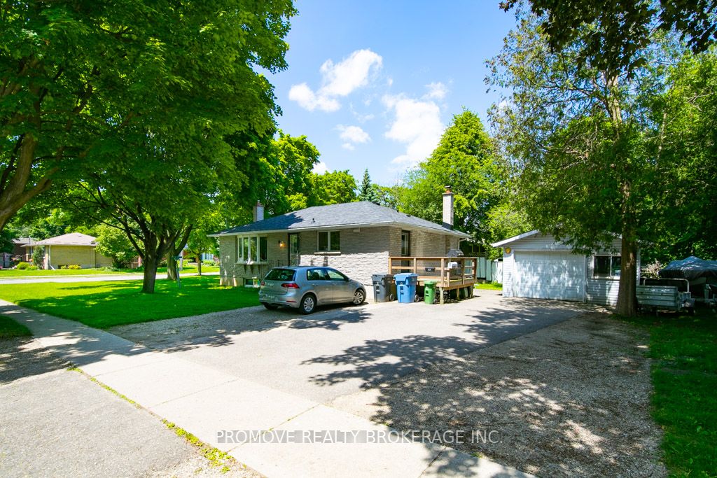 63 Freeman Ave, Guelph, Ontario, June Avenue