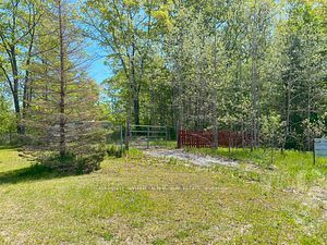 3987 County Road 6, North Kawartha, Ontario, Rural North Kawartha