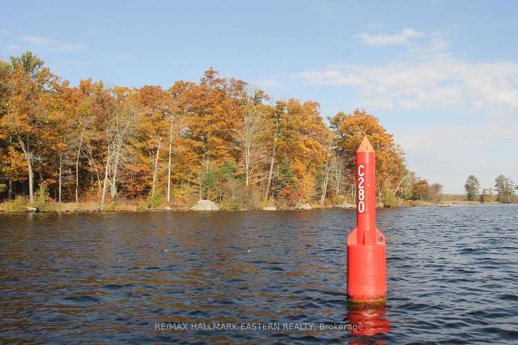 C280 Lower Buckhorn Lake, Galway-Cavendish and Harvey, Ontario, Rural Galway-Cavendish and Harvey