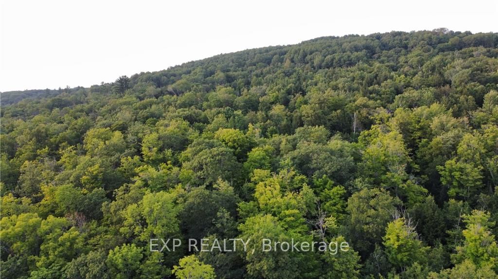 Lot C PARCHER Rd, Madawaska Valley, Ontario, 570 - Madawaska Valley