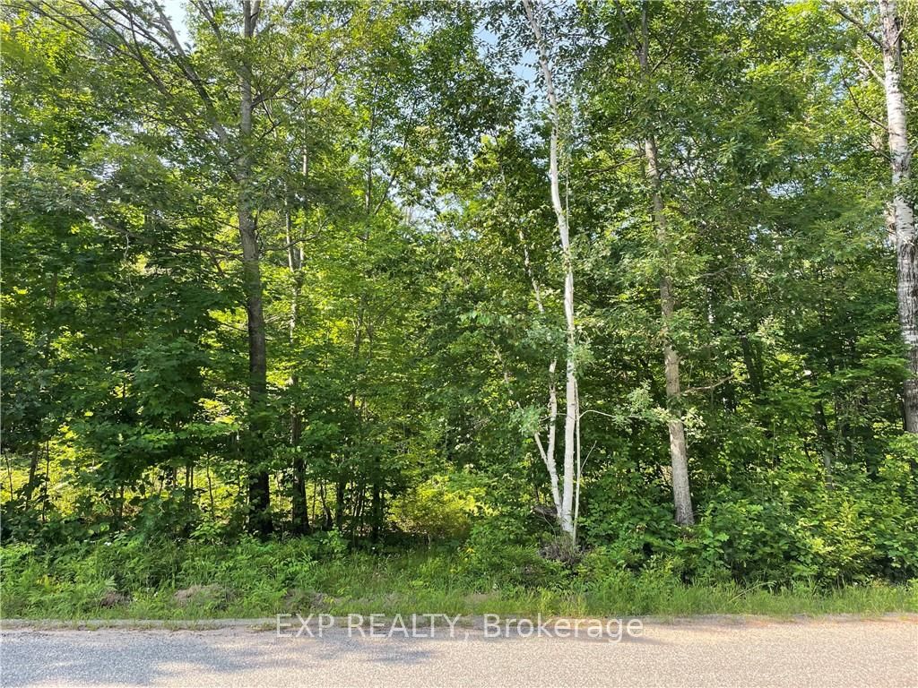 Lot B CHIPPAWA Rd, Madawaska Valley, Ontario, 570 - Madawaska Valley