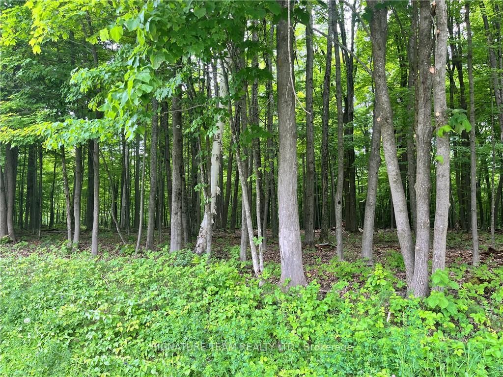 Lot 2 POINT Rd, McNab/Braeside, Ontario, 551 - Mcnab/Braeside Twps