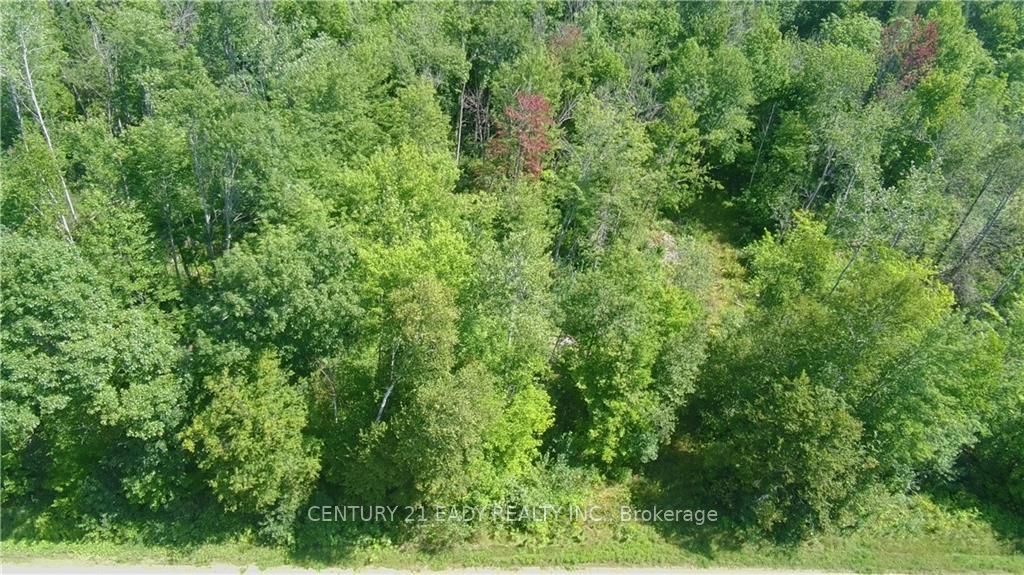 0 DORE BAY Rd, North Algona Wilberforce, Ontario, 561 - North Algona/Wilberforce Twp