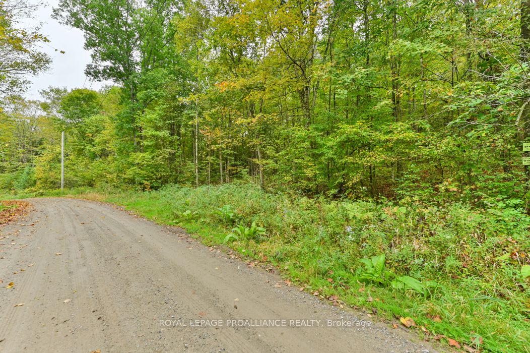 0 Deroche Rd, Tweed, Ontario, 